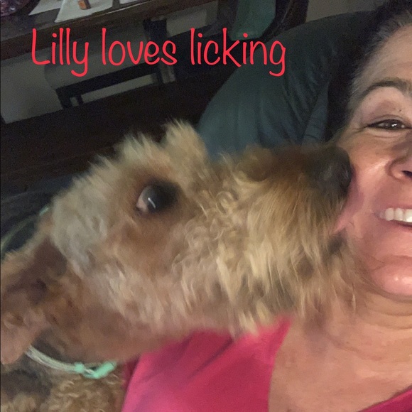 Meet your Posher, Susan - Picture 14 of 16